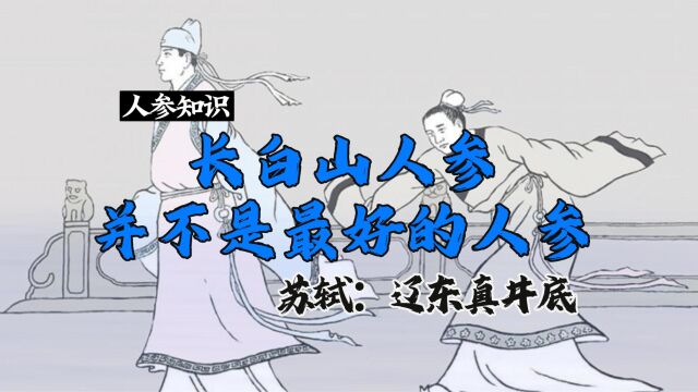 长白山人参居然只是个“小老弟”——力大而性不足