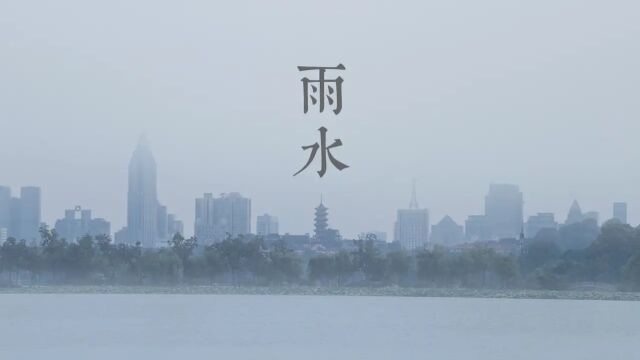 中国二十四节气雨水