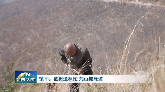 南阳镇平:植树造林忙,荒山披绿装