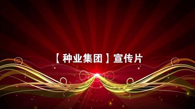 这是一个央视【品牌发现】报道的种业公司,是河南省育种标杆企业 #种业 #企业宣传片 #玉米种子