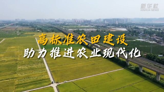 微视频|高标准农田建设助力推进农业现代化