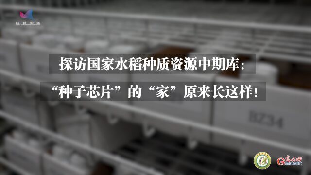 探访国家水稻种质资源中期库:“种子芯片”的“家”原来长这样!