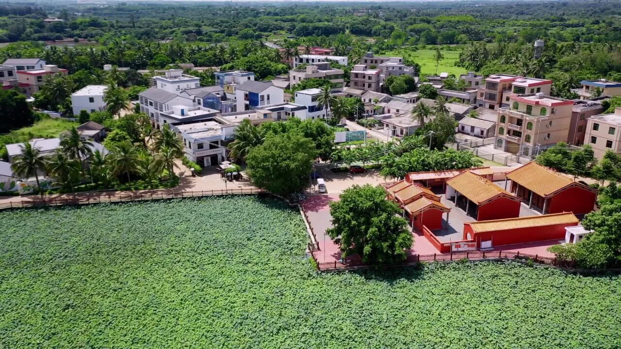 海口上新了:和美乡村篇(一)