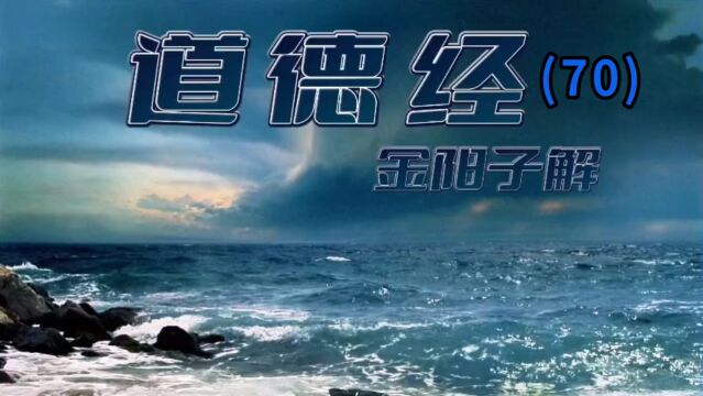 金阳子解《道德经》七十 大道至简 道法自然 道元论坛弘扬大道 实修实证 丹道修行