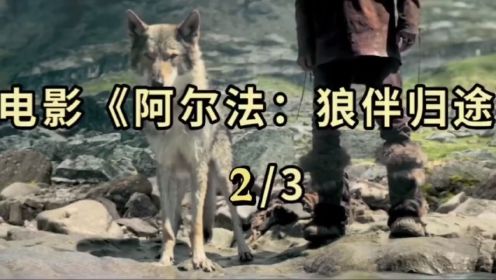 阿尔法狼伴归途2/3