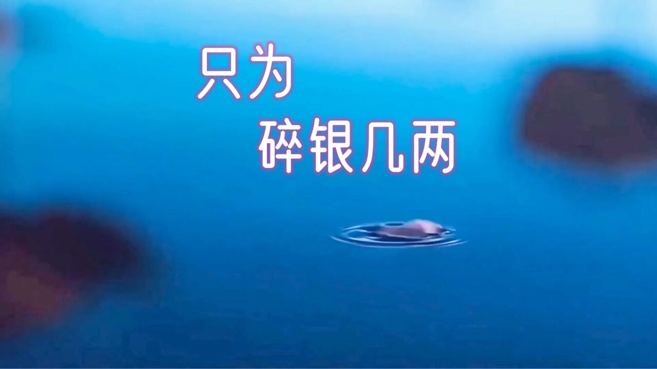 唯美古风空镜(只为碎银几两)看世人慌慌张张,却只为碎银几两