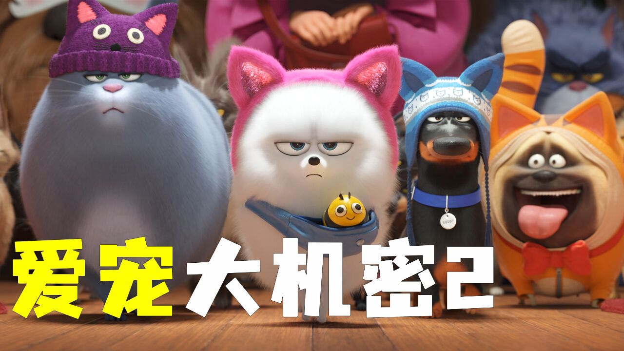 你绝对没有见过这么会说唱的兔子《爱宠大机密2》_高清1080p在线观看