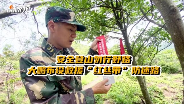 安全登山勿行野路,深圳大鹏布设数千救援“红丝带”防迷路