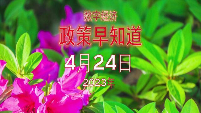 数字经济政策早知道2023年4月24日