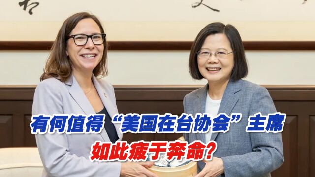 “美国在台协会”主席一年三度窜台,有何值得她如此疲于奔命?