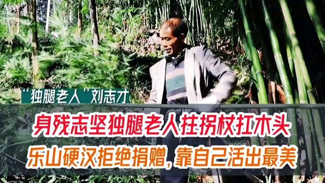 身残志坚独腿拄拐扛木头,乐山硬汉感动全网