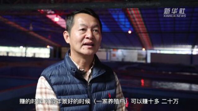 向海洋要食物 海南推动渔业高质量发展