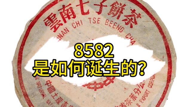 8582是如何诞生的?