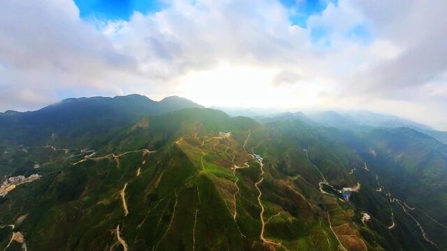 大庵茶园 茶山全景  副本