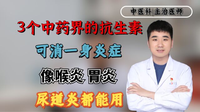 3个中药界的抗生素,可消一身炎症,像喉炎、胃炎、尿道炎都能用