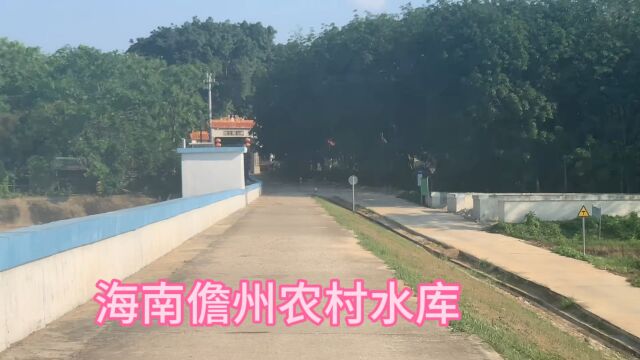 海南省儋州市打禾(和)村水库,这两天40度高温,粉丝们注意避暑