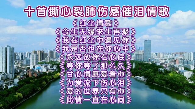 精选十首伤感催泪情歌《红尘情歌》《今生无缘来生再聚》《我在红尘中遇见你》《我是否也在你心中》《永远放你在心底》《等你等了那么久》