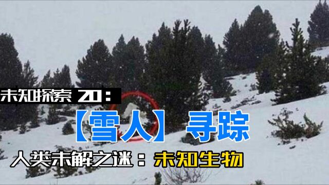 未知探索20:神秘的【雪人】