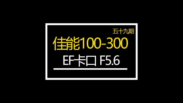 佳能100300EF卡口F5.6玩乐性很好