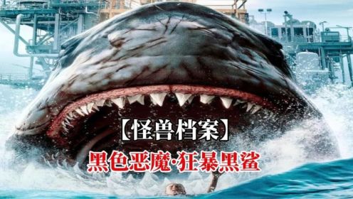 【怪兽档案】巴哈海岸，几百年都有它的传说：黑色恶魔·狂暴黑鲨