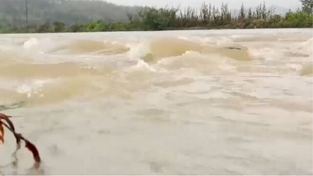 江西峡江:强降雨致河水暴涨,部分农田被淹