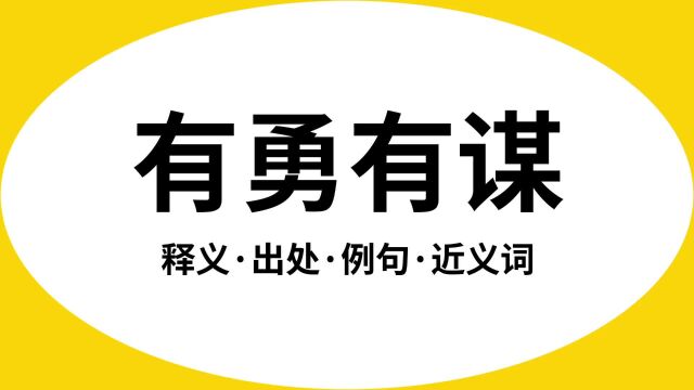 “有勇有谋”是什么意思?