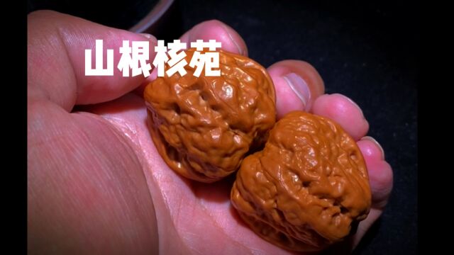 文玩核桃新趋势!