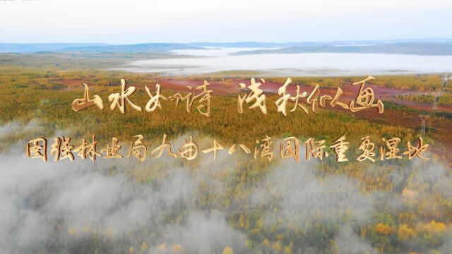 山水如诗 浅秋似画——图强林业局九曲十八湾国际重要湿地