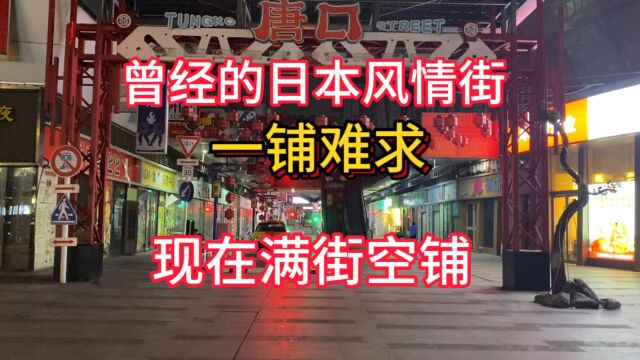 金沙洲曾经热热闹闹的日本风情街,一铺难求,现在满街空铺