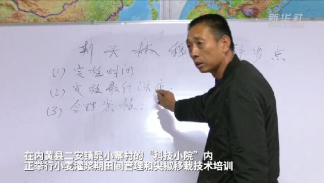 河南内黄:“科技小院”助农增收