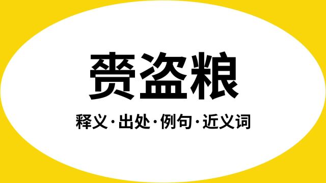 “赍盗粮”是什么意思?