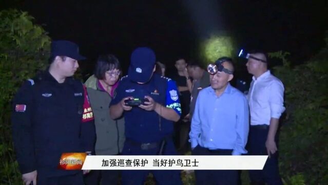 加强巡查保护 当好护鸟卫士