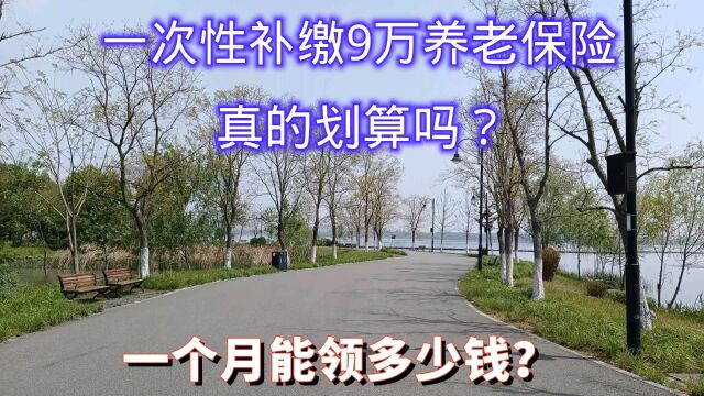 一次性补缴9万养老保险,真的划算吗?每月能领多少钱?