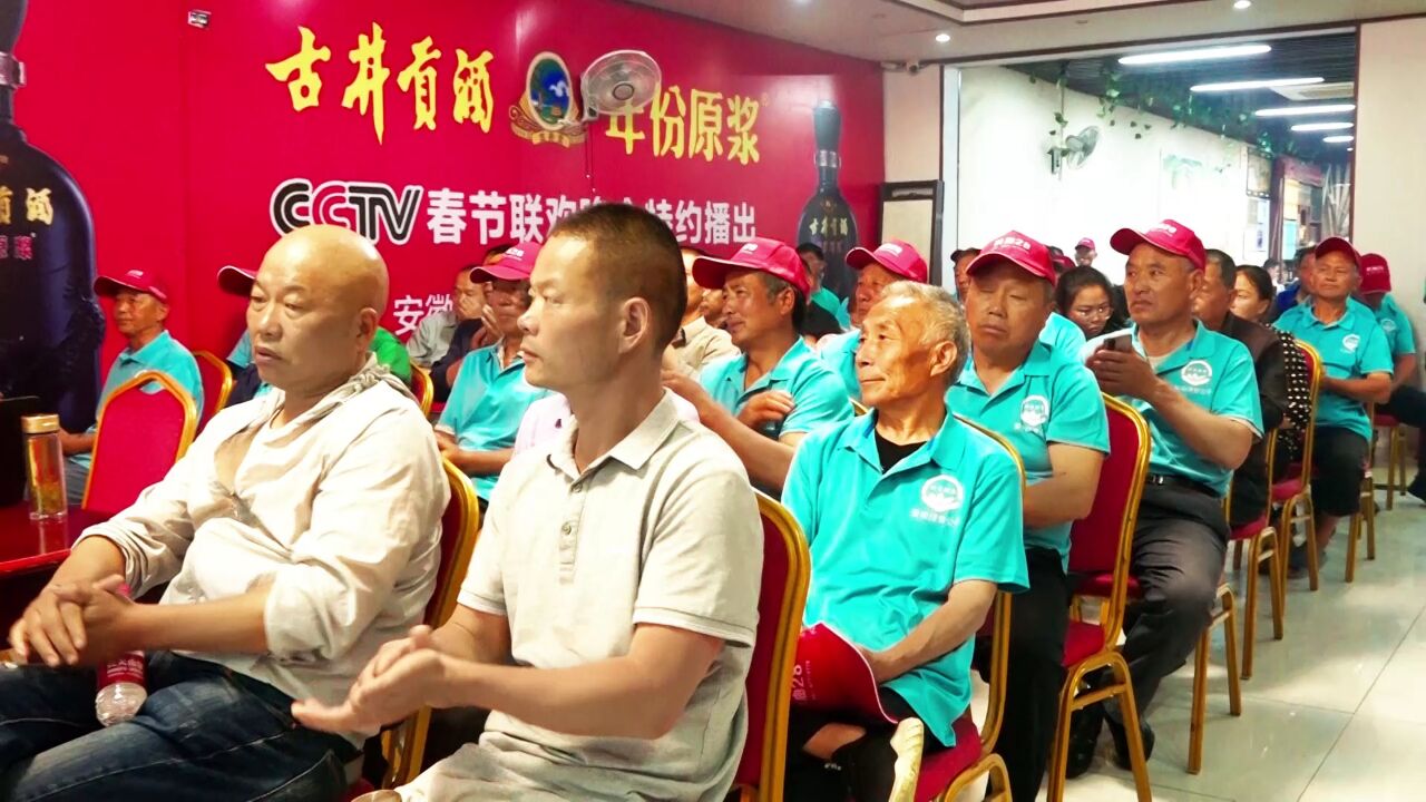 陕油28油菜现场观摩会在寿县众兴镇成功举办