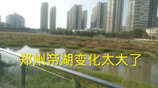 郑州帝湖大变样,湖里长满了水草,成了湿地公园