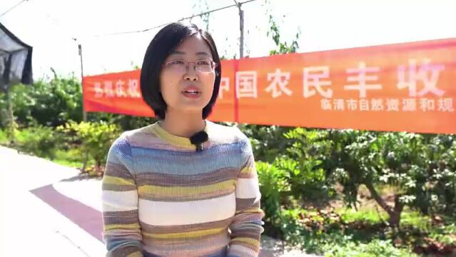 聊城临清市:秋季田野“丰”景美 科技助农迎丰收