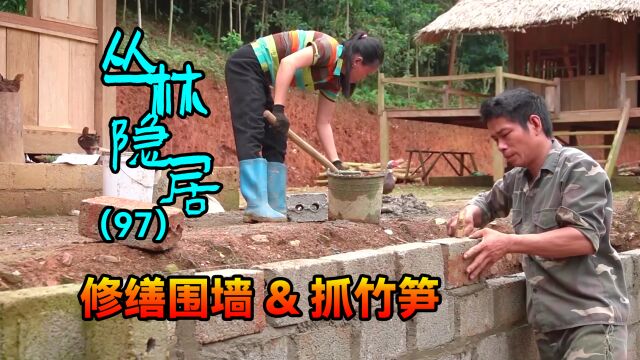 国外两夫妻野外建造家园,改造小院子,到深山里寻找美味食物