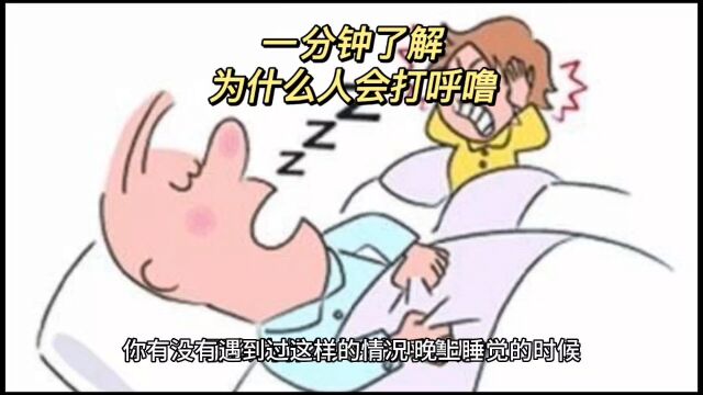 一分钟了解为什么人会打呼噜