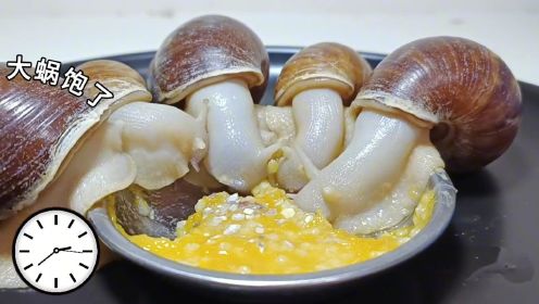 蜗蜗牛牛吃饭有多快？一镜到底告诉你