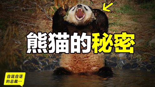 熊猫：真实存在的上古恐惧，为什么只有人类觉得大熊猫很可爱？