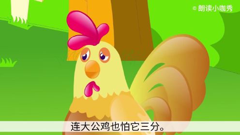 课文《母鸡》：我们都很熟悉的母鸡，竟然也有不为人知的一面？快来读一读作者笔下的母鸡是怎样的！