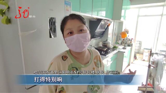 窗前一棵大树 枝繁叶茂挡住光线 园林部门进行修剪