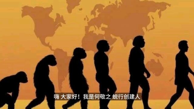 人体奥秘之直立行走12