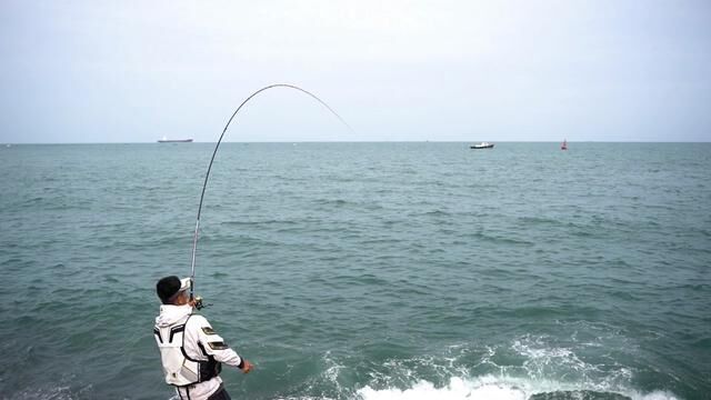 一尾之差 未能蝉联冠军 小有遗憾 来年再战! #海钓 #浮游矶钓