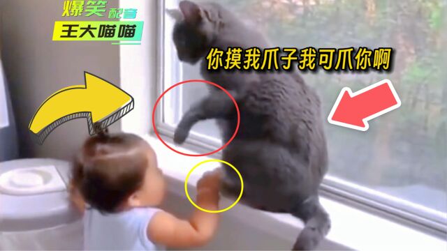 猫咪被宝宝摸刚想生气,转头看到录像的妈妈秒变脸:你摸吧乖乖