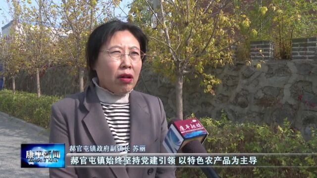 做精做强主导产业 助推乡村全面振兴⑦ | 郝官屯镇:聚焦主导产业发展 提升乡村振兴硬实力