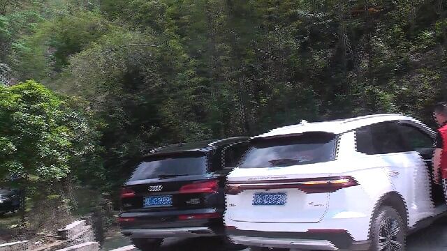 无限极万步荟攀登金紫山