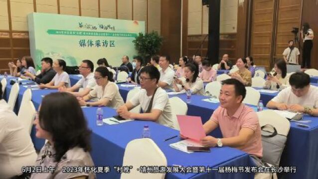 视频|以梅为媒 推介文旅 靖州第十一届杨梅节启动