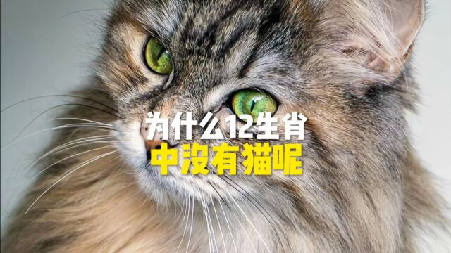 265为什么12生肖中,没有猫?免费测测你的智商#科普 #科普达人