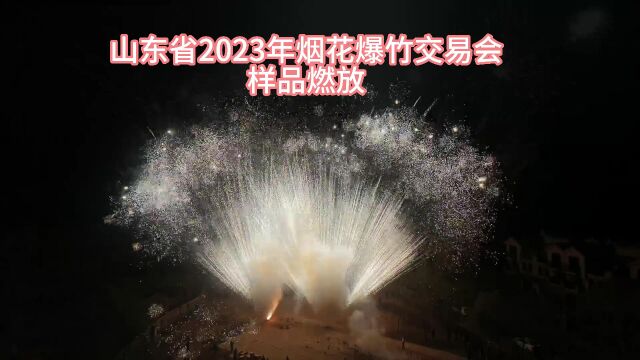 山东省2023年烟花爆竹交易会样品燃放